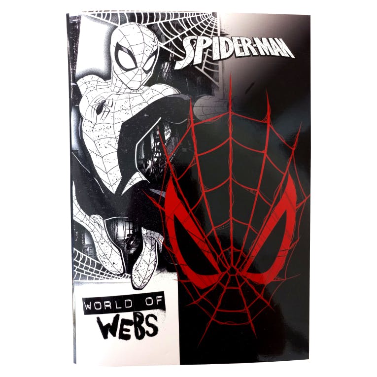 40Φ Notebook Τετράδιο Καρφίτσα SPIDERMAN WORLD OF WEBS  Ριγέ Β5 17x25cm   Gim 337-08400