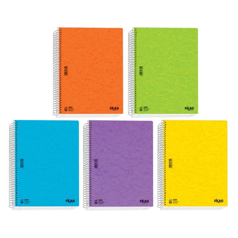 A4 Τετράδιο Σπιράλ 21x29 150 φύλλων 5 Θεμάτων Ριγέ BASIC  N.8015 276139
