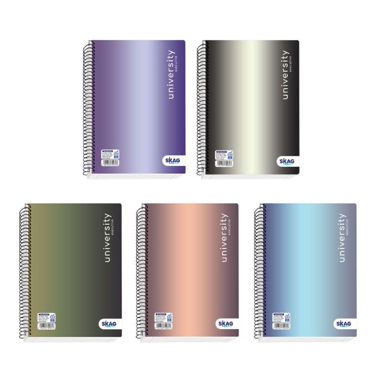B5 Τετράδιο Σπιράλ 17x25 60 φύλλων 2 Θέματα Ριγέ UNIVERSITY EXECUTIVE   N 9322 309653