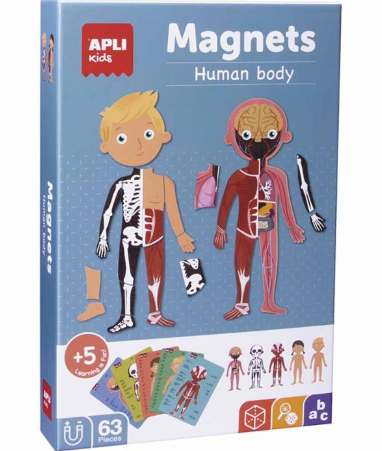 APLI -  Kids MAGNETS The Human Body - Το Ανθρώπινο Σώμα  63τμχ  | Ηλικία 3+ AP-18531