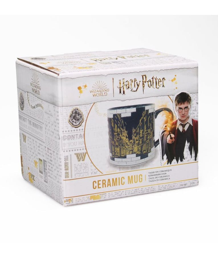 WIZARDING WORLD - Κούπα Κεραμική  Harry Potter σε Κουτί DIAGON 325ml Wizarding World 49460