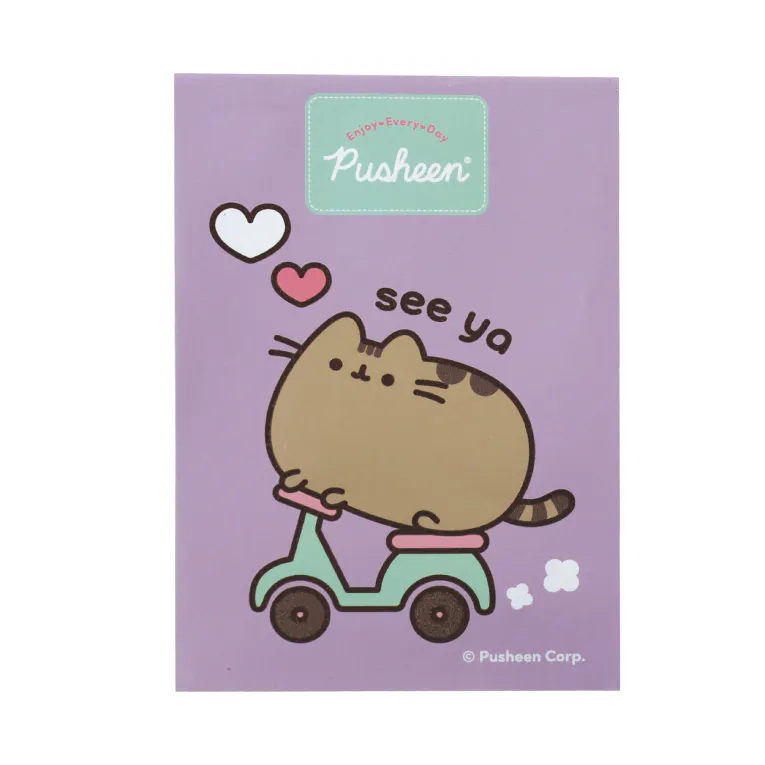 BMU - Α5 Σημειωματάριο PUSHEEN THE CAT Σετ 3τμχ - PUSHEEN THE CAT Set of 3 361-02755