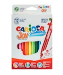 Carioca Joy Πλενόμενοι Μαρκαδόροι Ζωγραφικής Λεπτοί σε 12 Χρώματα Superwashable Fine 40614